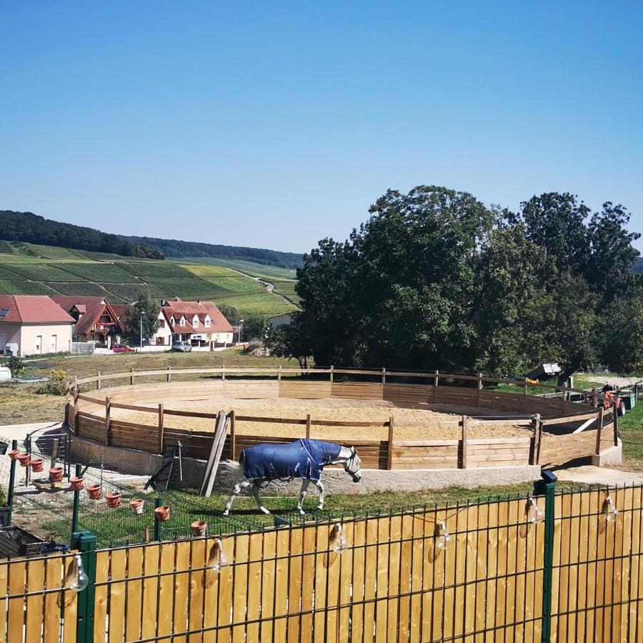 La Galipette, Charmant Chalet En Champagne Fleury-la-Riviere Exteriör bild